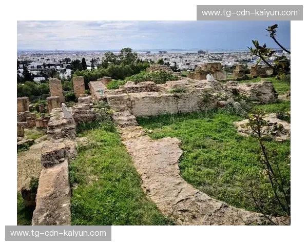 冰与火的碰撞：当北欧海盗遇见迦太基雄鹰，突尼斯vs瑞典的深度博弈